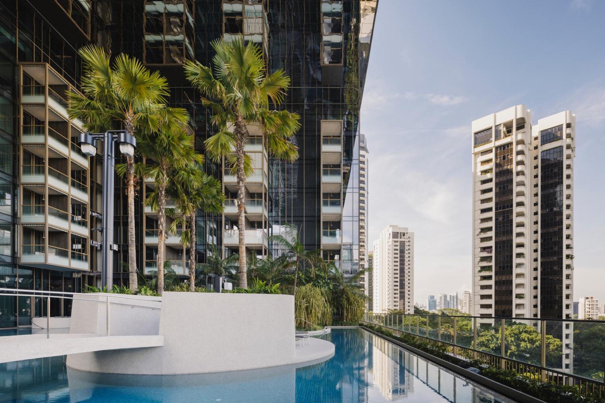 Pan Pacific Orchard Hotel Singapore Exterior photo The Panorama Pool